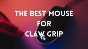 best mouse for claw grip