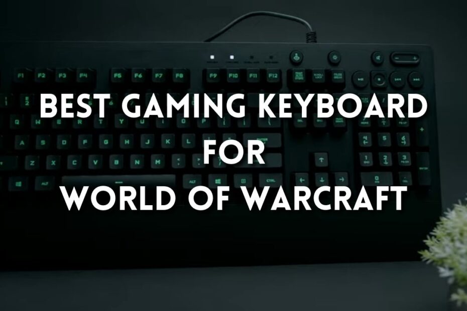 5 Best Gaming Keyboards For World Of Warcraft
