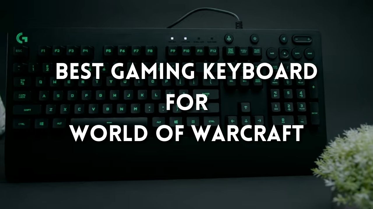 5 Best Gaming Keyboards For World Of Warcraft