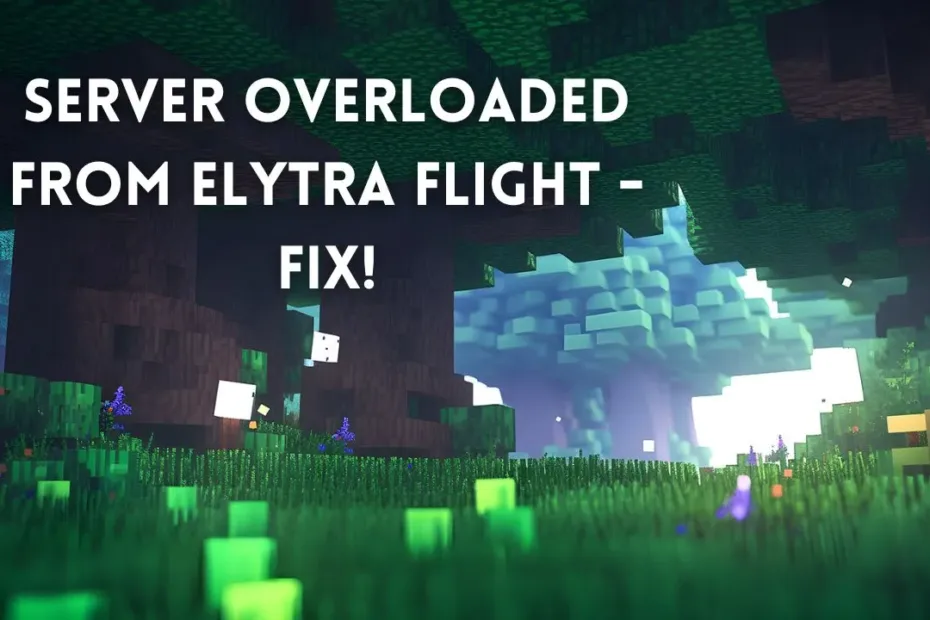 server overload from elytra flight